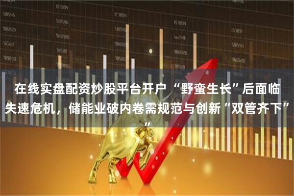 在线实盘配资炒股平台开户 “野蛮生长”后面临失速危机，储能业破内卷需规范与创新“双管齐下”